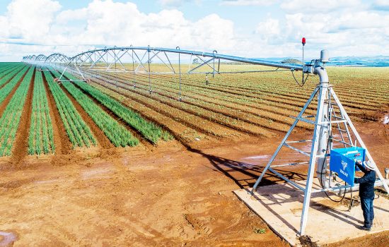 Irrigação Pivot Central: Uma abordagem eficiente para a agricultura moderna