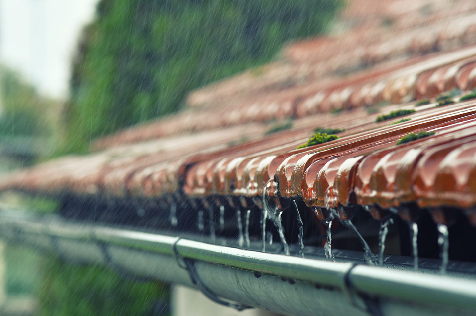 Entenda os benefícios de captação de água da chuva para irrigação