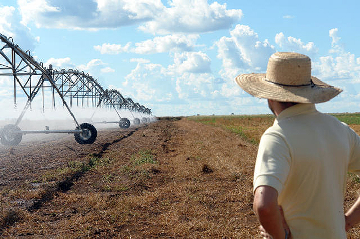 Dia Nacional da Agricultura Irrigada é instituído em 15 de junho