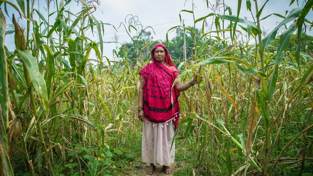 As inovações nas técnicas de irrigação impulsionam a agricultura Indiana
