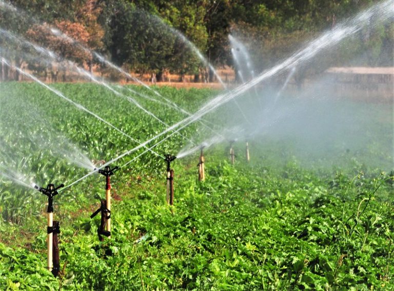 Entenda como a irrigação responsável enfrenta a crise ambiental com ações sustentáveis